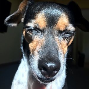 Meet your Posher, Anders